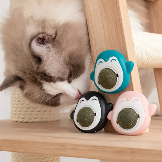 Catnip Balls: Healthy Teeth-Grinding Toy for Cats