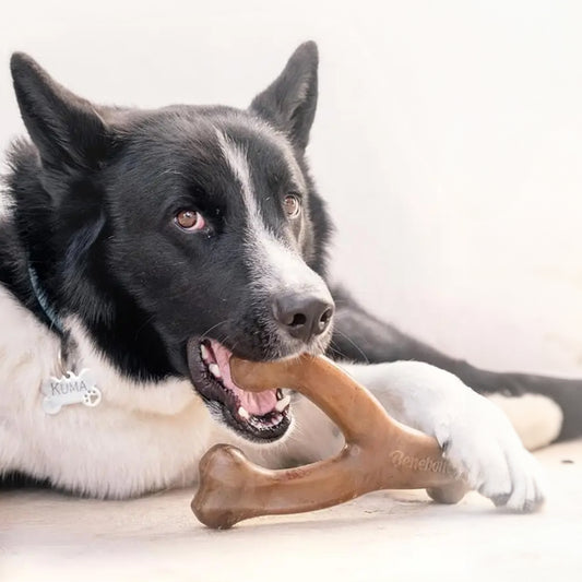 Tough Chew Toy with Authentic Bacon Taste for Heavy Chewers