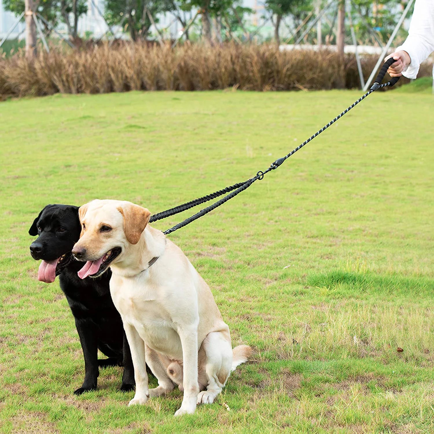 Double Dog Leash Coupler