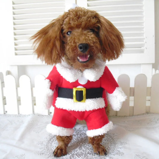 Winter Christmas Pet Costume