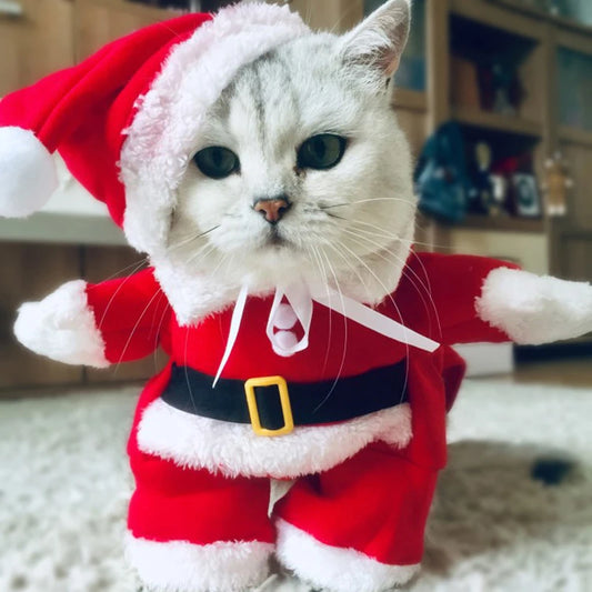 Winter Christmas Pet Costume