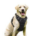 Load image into Gallery viewer, Heavy Duty Reflective Front Clip Dog Harness with Easy Control Handle for Large Dogs
