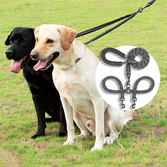 Double Dog Leash Coupler