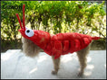 Load image into Gallery viewer, Halloween Lobster Costume
