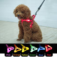 Load image into Gallery viewer, LED Glowing No-Pull Dog Harness. Night Safety
