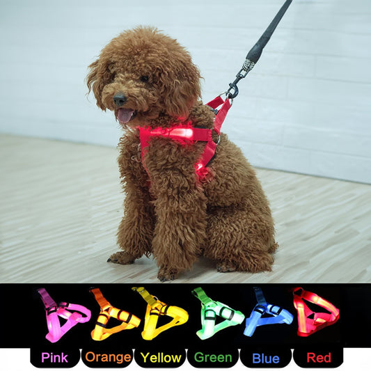 LED Glowing No-Pull Dog Harness. Night Safety