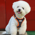 Load image into Gallery viewer, Summer Pincher Puppy Vest Harness and Leash Set for Small Dogs
