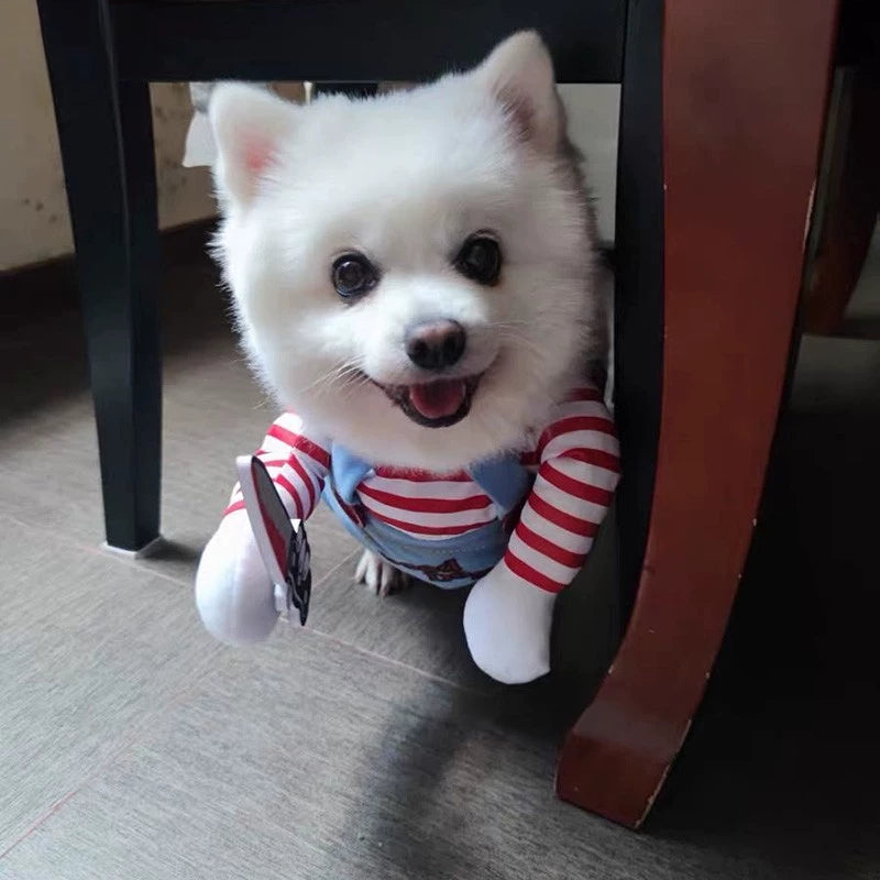 Chucky Dog Cosplay