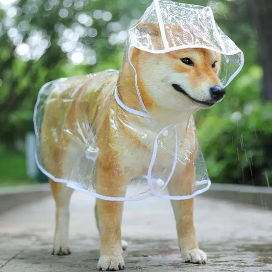 Waterproof Transparent Raincoat