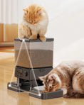 Load image into Gallery viewer, 5L Automatic Cat Feeder for 2 Cats
