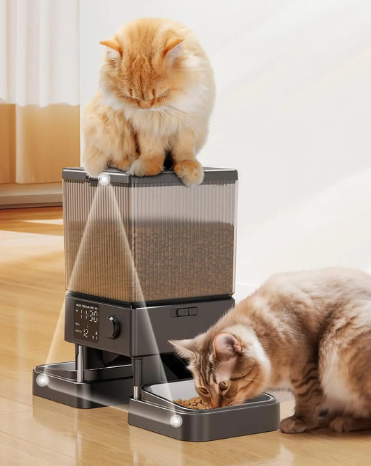 5L Automatic Cat Feeder for 2 Cats