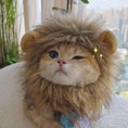 Load image into Gallery viewer, Lion Cosplay Costume
