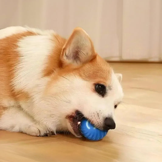 Smart USB Automatic Dog Toy Ball