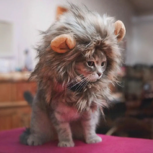 Funny Lion Wig Costume