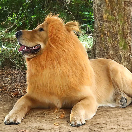 Lion Wig Costume