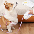 Load image into Gallery viewer, LED Dog Leash
