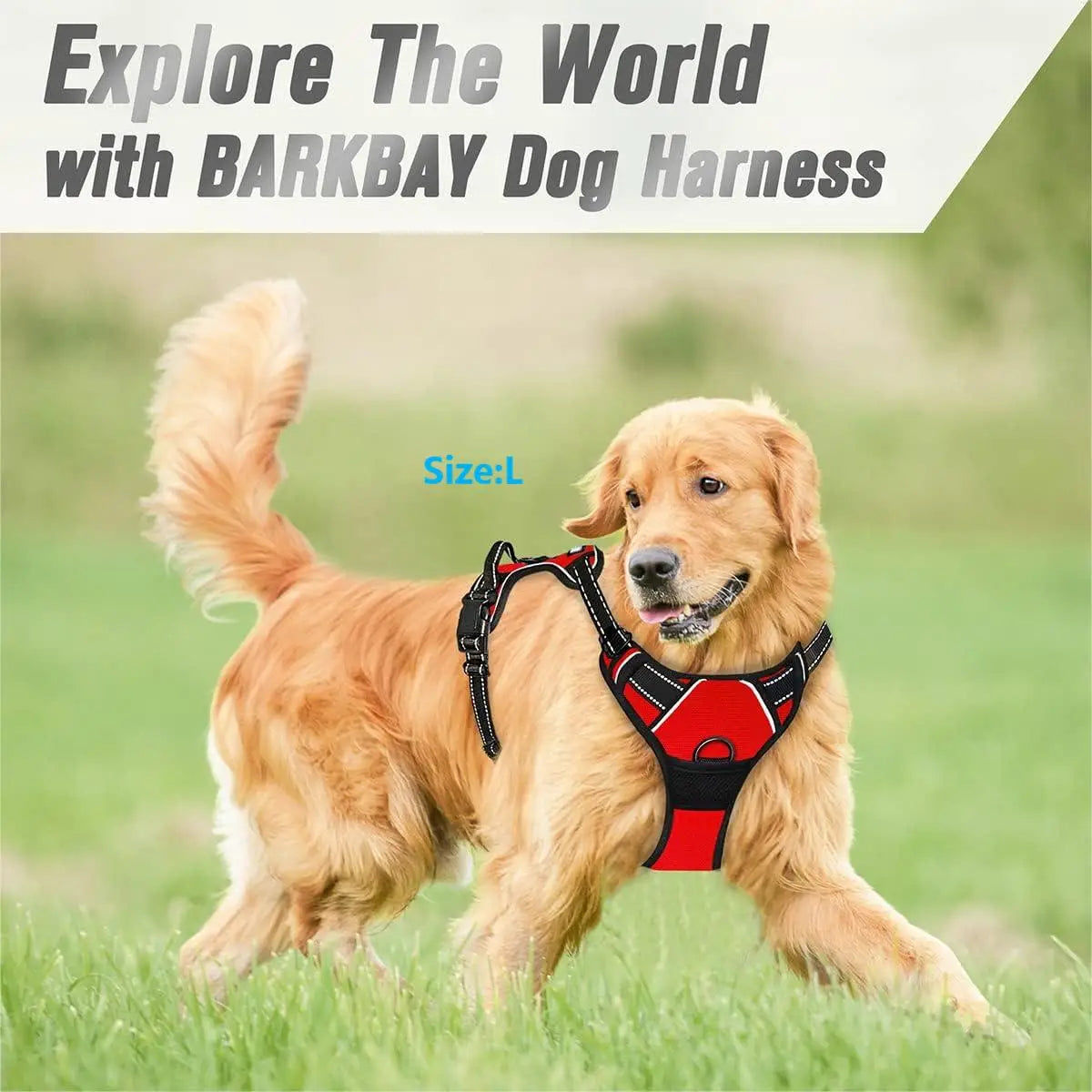 Heavy Duty Reflective Front Clip Dog Harness with Easy Control Handle for Large Dogs