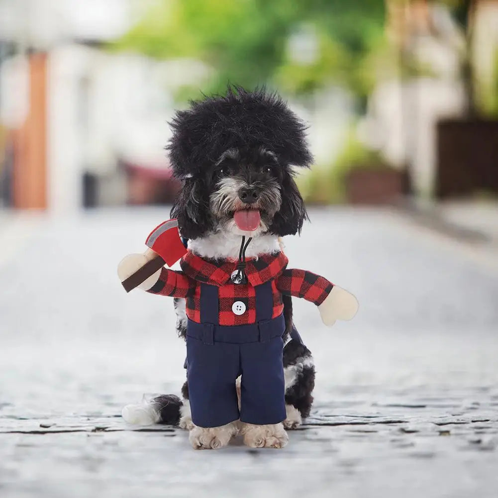 Pet Halloween Costume