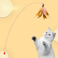 Load image into Gallery viewer, Feather Fish Teaser Wand - Interactive Cat Toy with Bell
