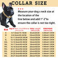 Load image into Gallery viewer, Cuban Chain Dog Collar with Diamond Design - Secure Buckle
