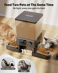 Load image into Gallery viewer, 5L Automatic Cat Feeder for 2 Cats
