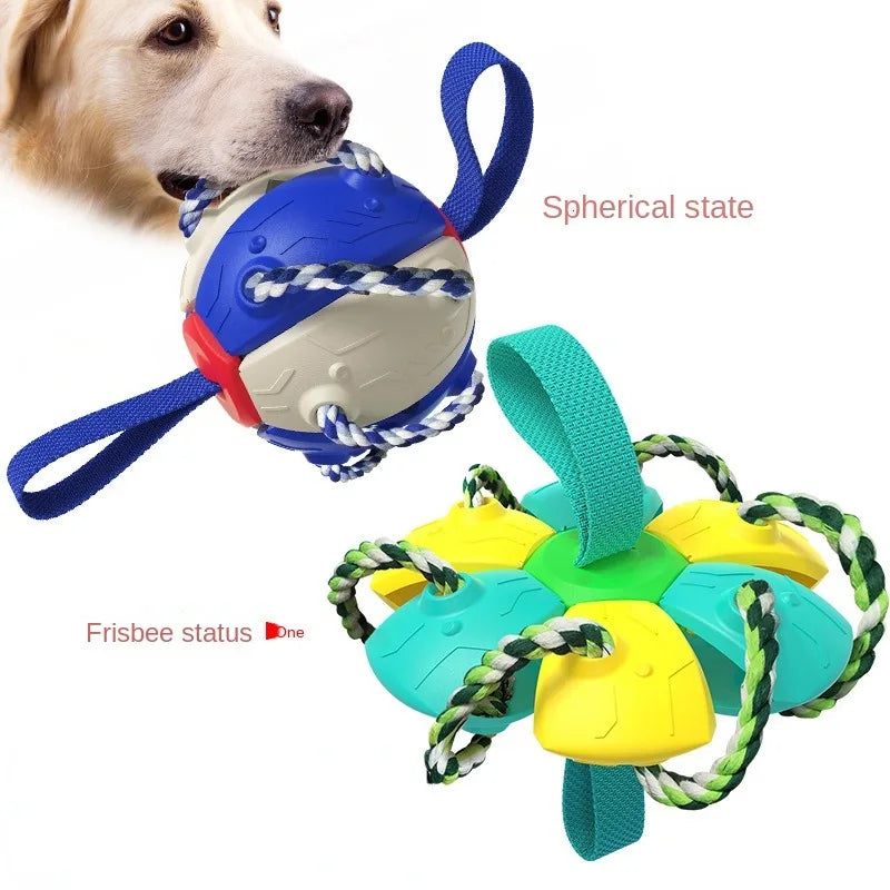 Foldable Dog Soccer Ball