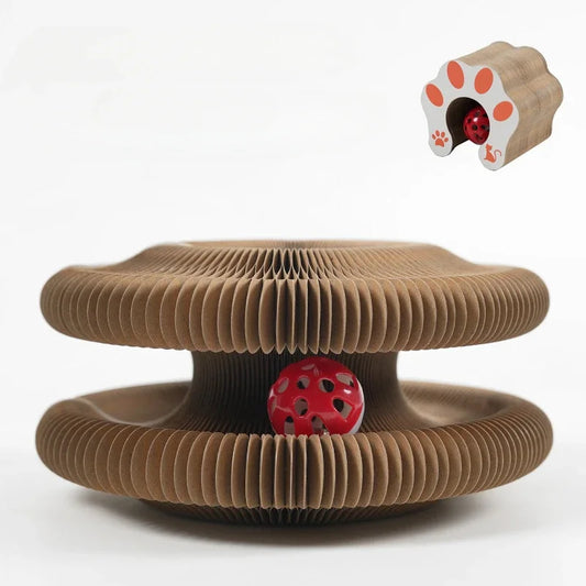 Collapsible Magnetic Scratching Board