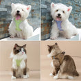 Load image into Gallery viewer, Reflective Breathable Pet Vest Harness with Leash
