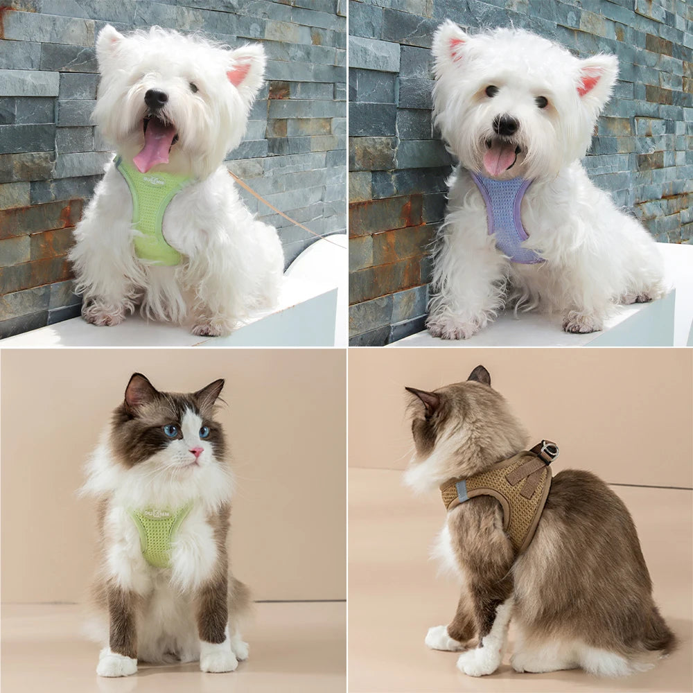 Reflective Breathable Pet Vest Harness with Leash