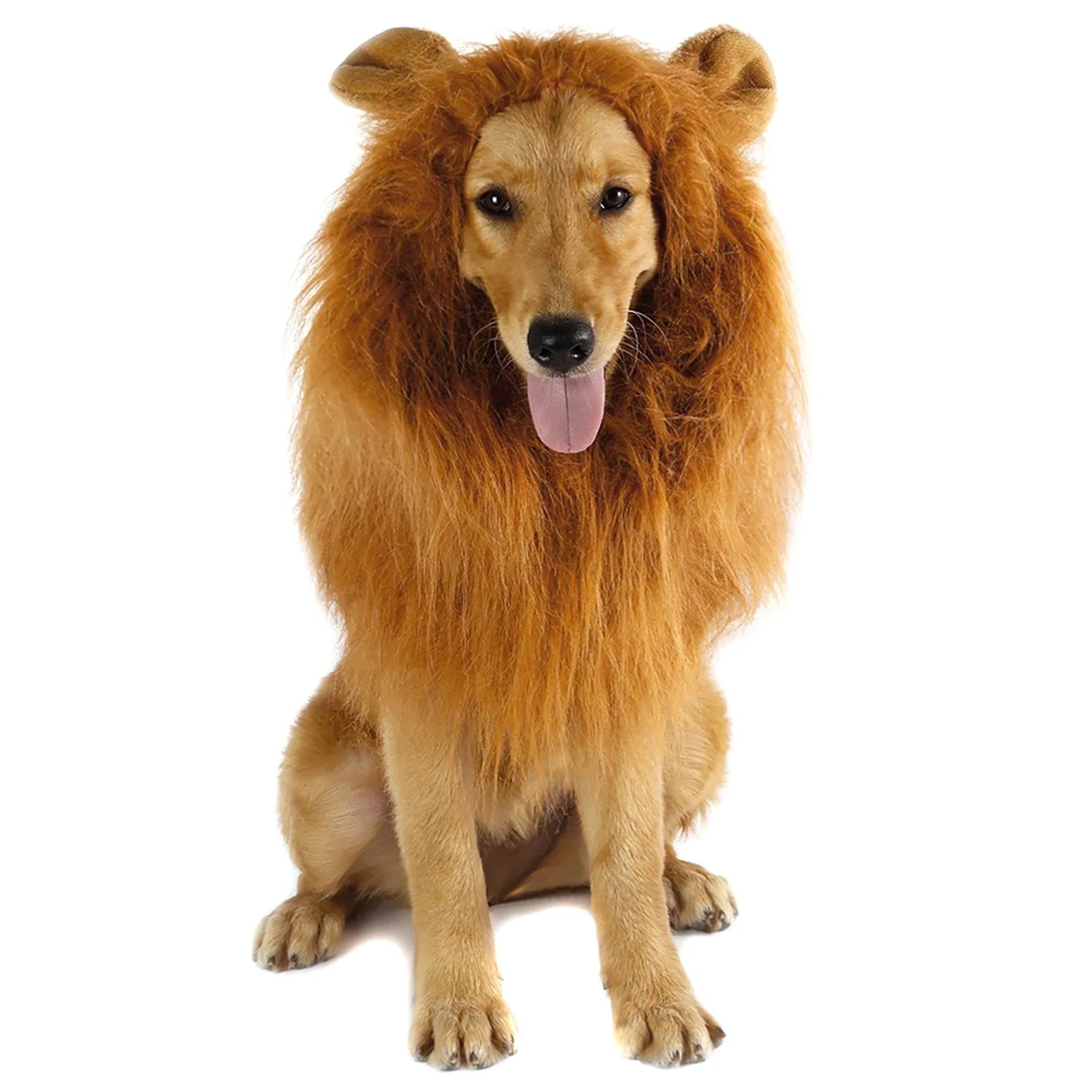 Lion Wig Costume