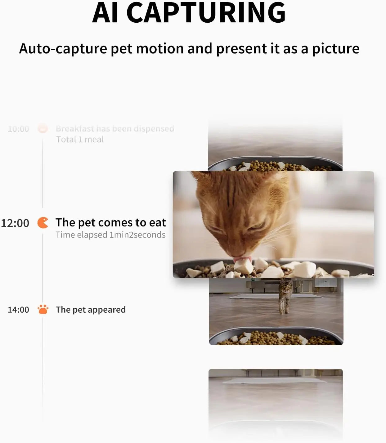 5L Automatic Cat Feeder with Camera