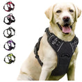 Load image into Gallery viewer, Heavy Duty Reflective Front Clip Dog Harness with Easy Control Handle for Large Dogs
