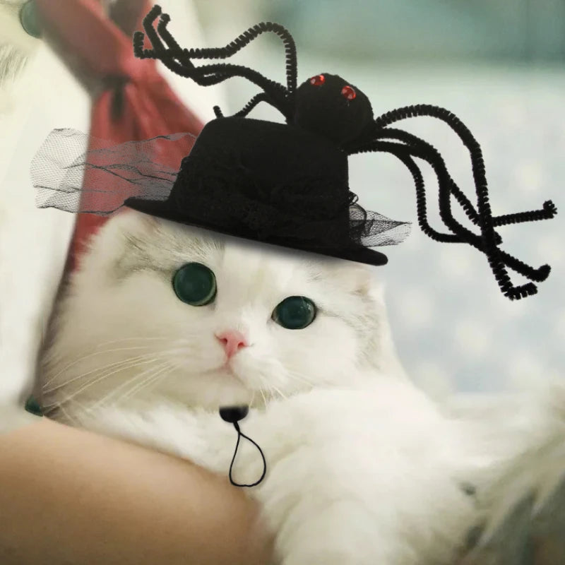 Cosplay Hat for Pet