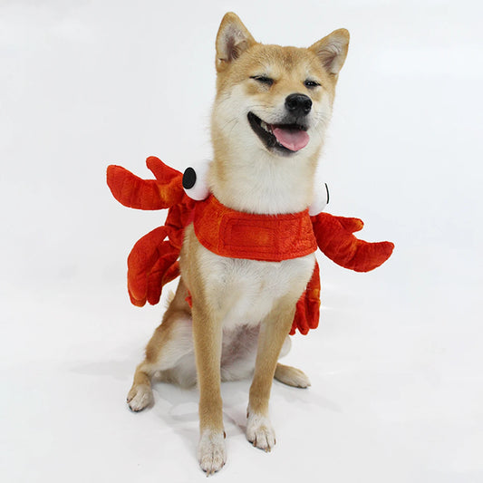 Crab costume