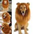 Load image into Gallery viewer, Lion Wig Costume
