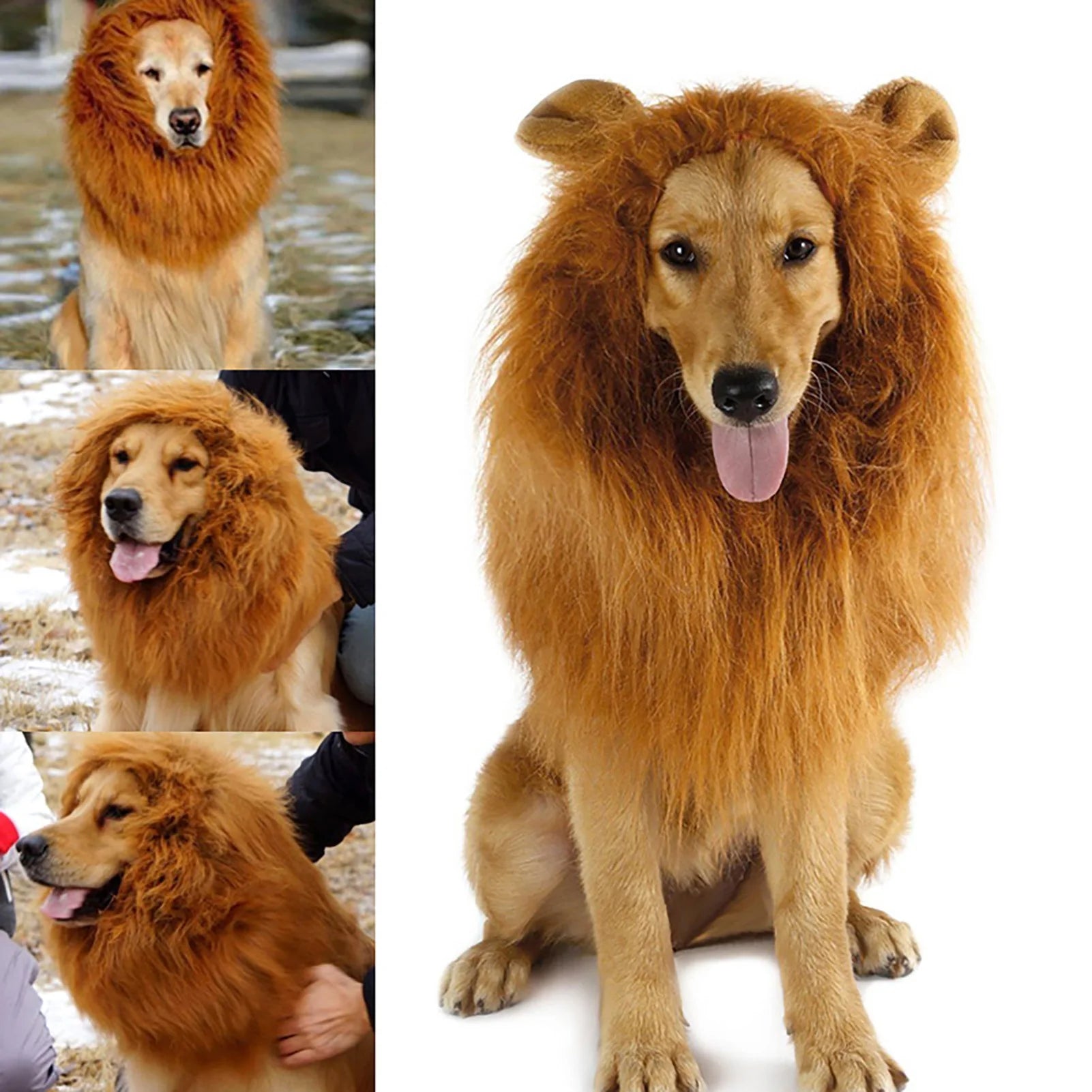 Lion Wig Costume