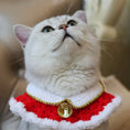 Load image into Gallery viewer, Christmas Pet Bibs and Bow Collar
