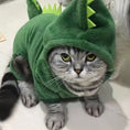 Load image into Gallery viewer, Dinosaur Costume
