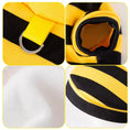 Load image into Gallery viewer, Cat Bee Costume
