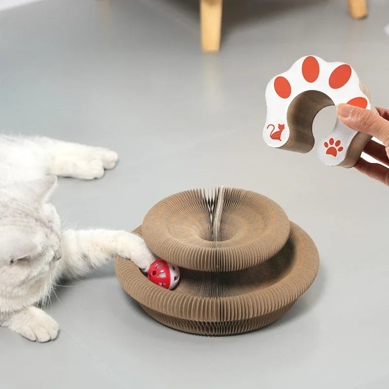 Collapsible Magnetic Scratching Board