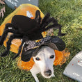 Load image into Gallery viewer, Halloween Spider Costume
