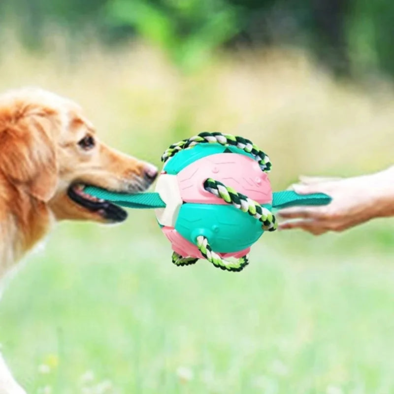 Foldable Dog Soccer Ball