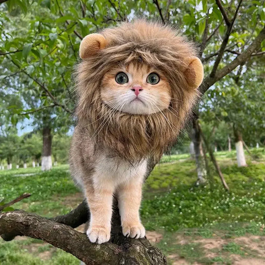 Lion Cosplay Costume