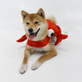 Load image into Gallery viewer, Crab costume
