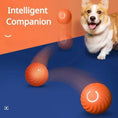 Load image into Gallery viewer, Smart USB Automatic Dog Toy Ball
