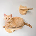 Load image into Gallery viewer, Wall-Mounted Cat Climbing Shelf with Scratching Posts
