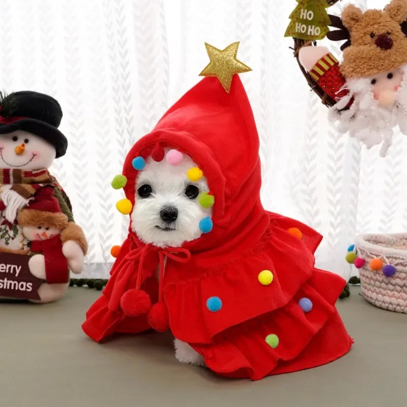 Christmas Dog Cloak & Shawl