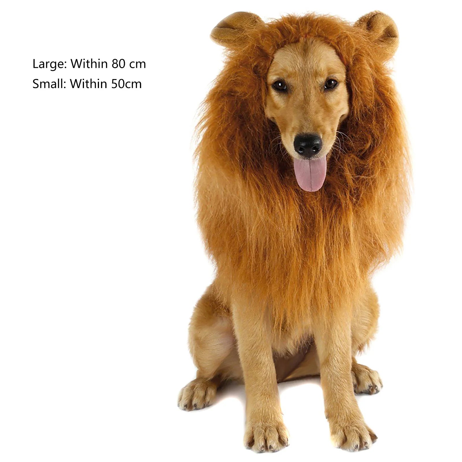 Lion Wig Costume