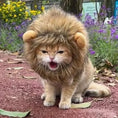 Load image into Gallery viewer, Lion Cosplay Costume
