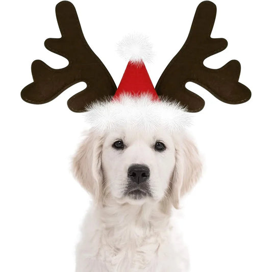 Elk Antlers and Santa Hat Pet Costume